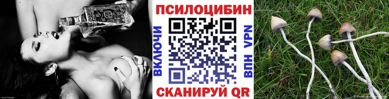 Псилоцибиновые грибы прущие грибы  Протвино 